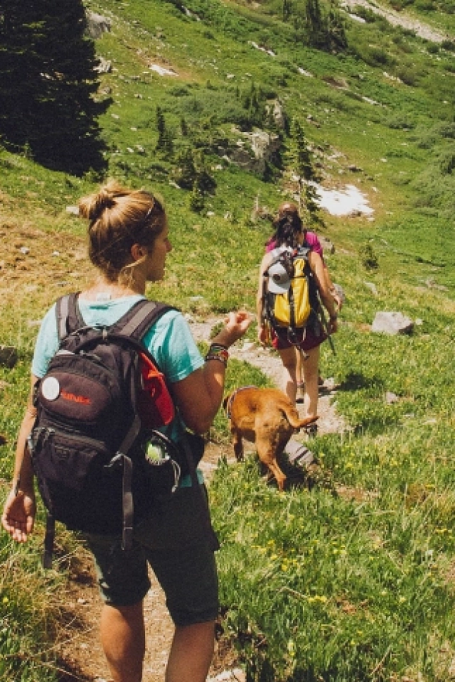 Excursions