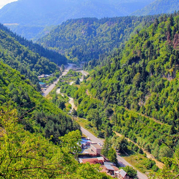 Borjomi — where nature, history, and tradition live in harmony.